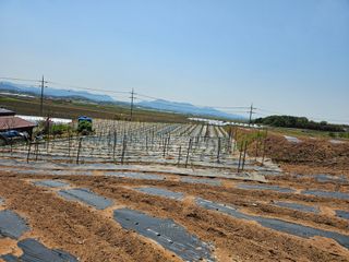 김문철님의 자유주제 · 자유게시판 작성글 사진