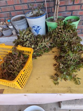 정석범님의 자유주제 · 자유게시판 작성글 사진