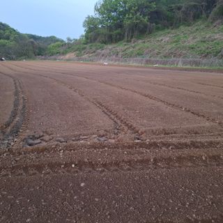 오영도님의 자유주제 · 자유게시판 작성글 사진