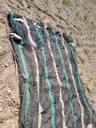 감20280님의 자유주제 · 자유게시판 작성글 사진