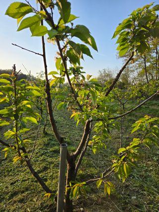 박정희 님의 자유주제 · 자유게시판 작성글 사진