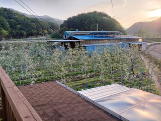 알 수 없음님의 자유주제 · 자유게시판 작성글 사진