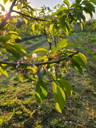 박정희 님의 자유주제 · 자유게시판 작성글 사진