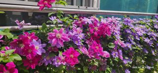 다야님의 자유주제 · 자유게시판 작성글 사진