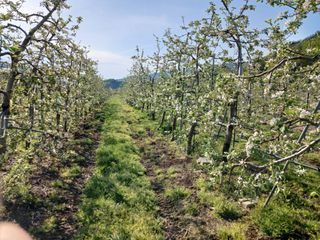 알 수 없음님의 자유주제 · 자유게시판 작성글 사진