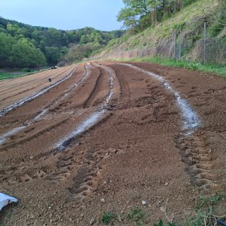 오영도님의 자유주제 · 자유게시판 작성글 사진