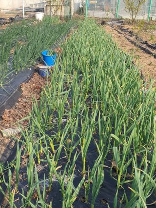 영흥천국님의 자유주제 · 자유게시판 작성글 사진