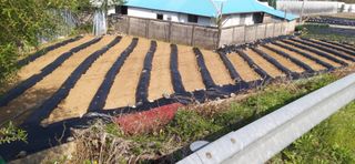 김영문님의 자유주제 · 자유게시판 작성글 사진