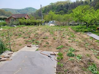 땅땅님의 자유주제 · 자유게시판 작성글 사진