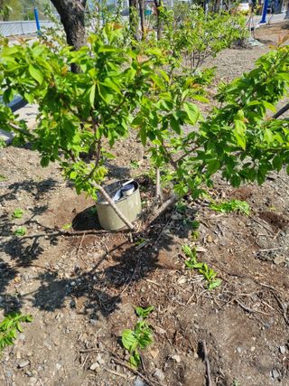 김용대님의 자유주제 · 자유게시판 작성글 사진