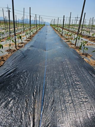 김문철님의 자유주제 · 자유게시판 작성글 사진