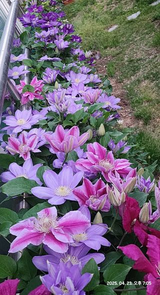 다야님의 자유주제 · 자유게시판 작성글 사진