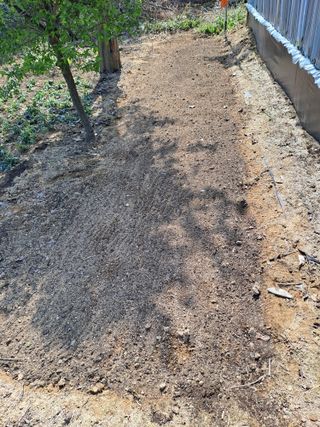 허선경님의 🌱내 작물 자랑하기! · 참여글 작성글 사진