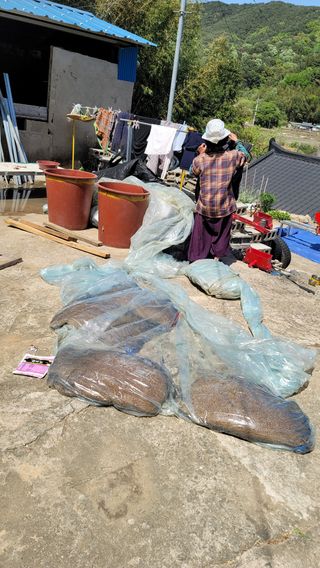 권리를위한투쟁님의 자유주제 · 자유게시판 작성글 사진