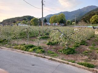 알 수 없음님의 자유주제 · 자유게시판 작성글 사진