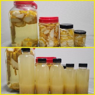 정미리님의 자유주제 · 자유게시판 작성글 사진