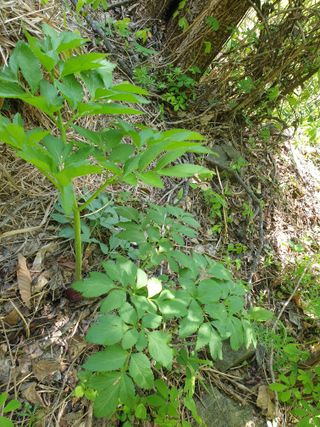 황강순님의 자유주제 · 자유게시판 작성글 사진