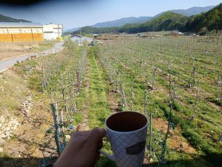 알 수 없음님의 자유주제 · 자유게시판 작성글 사진
