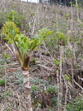 인생은 소풍처럼님의 자유주제 · 자유게시판 작성글 사진