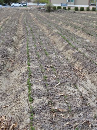 최동수님의 자유주제 · 자유게시판 작성글 사진