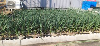 김영문님의 자유주제 · 자유게시판 작성글 사진