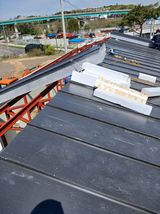 팜모닝 자유주제·자유게시판 게시글 이미지