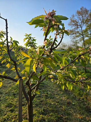 박정희 님의 자유주제 · 자유게시판 작성글 사진