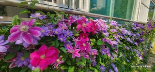 다야님의 자유주제 · 자유게시판 작성글 사진