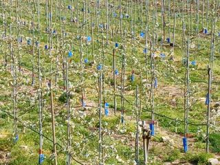 알 수 없음님의 자유주제 · 자유게시판 작성글 사진