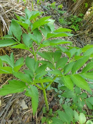 황강순님의 자유주제 · 자유게시판 작성글 사진