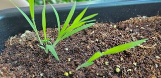 박소원님의 자유주제 · 자유게시판 작성글 사진