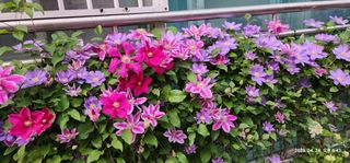 다야님의 자유주제 · 자유게시판 작성글 사진