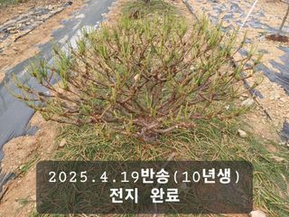 박성민님의 자유주제 · 자유게시판 작성글 사진