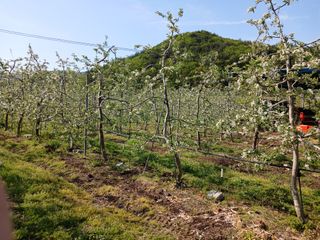 알 수 없음님의 자유주제 · 자유게시판 작성글 사진