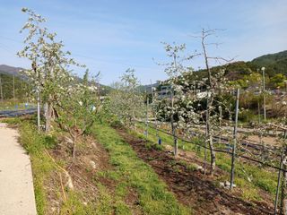 알 수 없음님의 자유주제 · 자유게시판 작성글 사진