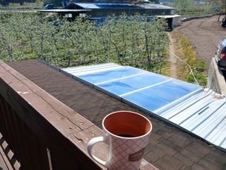 알 수 없음님의 자유주제 · 자유게시판 작성글 사진