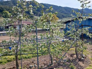 알 수 없음님의 자유주제 · 자유게시판 작성글 사진