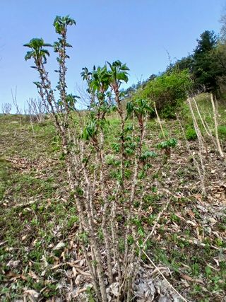 인생은 소풍처럼님의 자유주제 · 자유게시판 작성글 사진