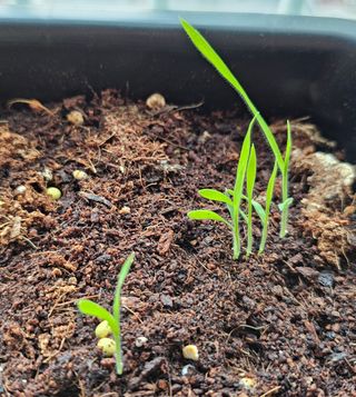 박소원님의 자유주제 · 자유게시판 작성글 사진