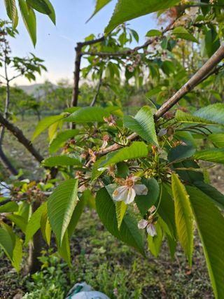박정희 님의 자유주제 · 자유게시판 작성글 사진
