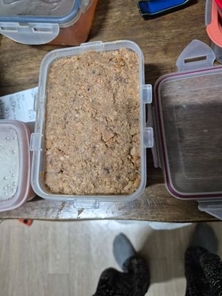 봉림동 태진농장님의 자유주제 · 자유게시판 작성글 사진