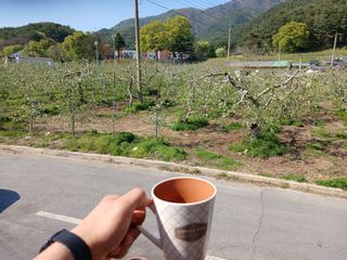 알 수 없음님의 자유주제 · 자유게시판 작성글 사진