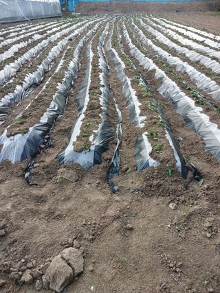 전국하님의 자유주제 · 자유게시판 작성글 사진