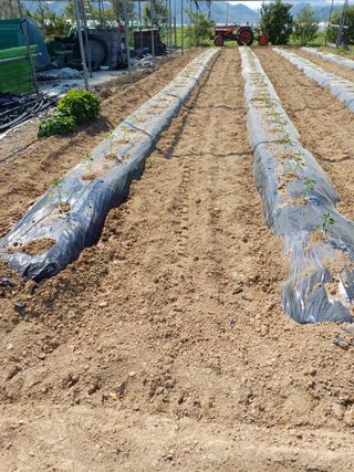 유영옥님의 자유주제 · 자유게시판 작성글 사진