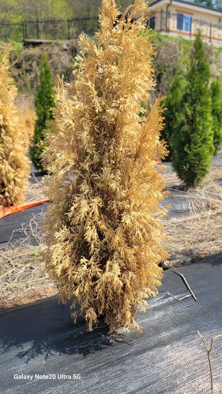 박천석님의 자유주제 · 자유게시판 작성글 사진