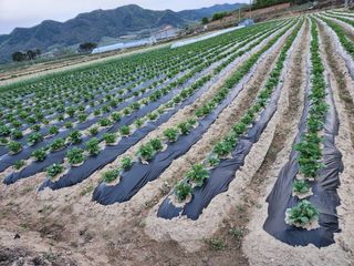 보은 김영순님의 자유주제 · 자유게시판 작성글 사진