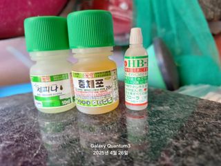 전진규.해돋이님의 자유주제 · 자유게시판 작성글 사진