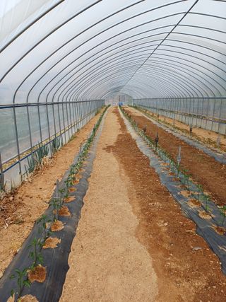 해아래님의 자유주제 · 자유게시판 작성글 사진