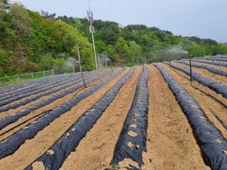 강정희님의 자유주제 · 자유게시판 작성글 사진