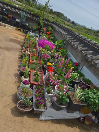 자연인님의 자유주제 · 자유게시판 작성글 사진